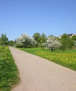 A beautiful view of Moers.