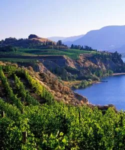 A beautiful view of Penticton