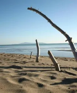 A beautiful view of Follonica