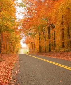 A beautiful view of Laurel