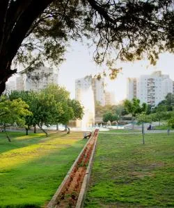 A beautiful view of Rishon LeẔiyyon