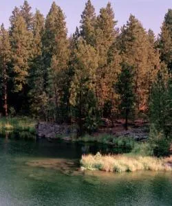 A beautiful view of Post Falls