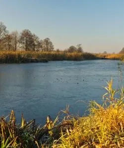 A beautiful view of Raszyn – city popular among our users.