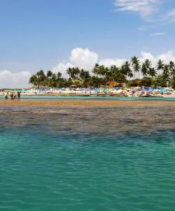 A beautiful view of Porto De Galinhas – a popular city among our users