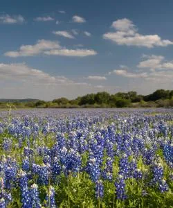Una bonita panorámica de Seguin