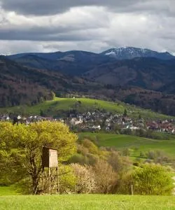 A beautiful view of Merzhausen – city popular among our users.