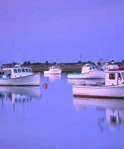 A beautiful view of Quincy.