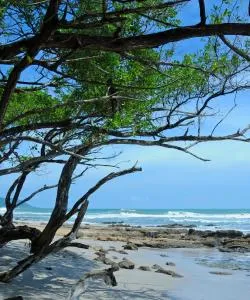 A beautiful view of Mal País