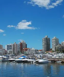 A beautiful view of Punta del Este – a popular city among our users
