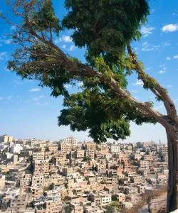 A beautiful view of Amman serviced by Queen Alia International Airport