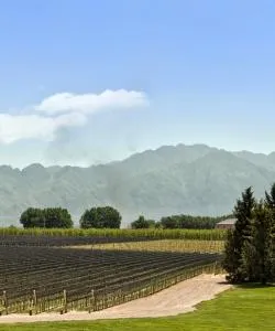 A beautiful view of San Rafael – a popular city among our users