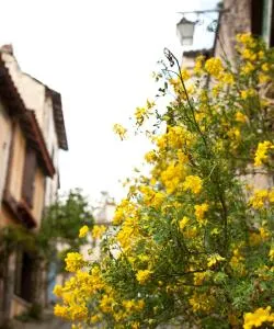 A beautiful view of Proville.
