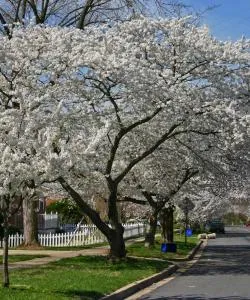 A beautiful view of Rockville.