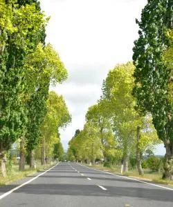 A beautiful view of Revesby