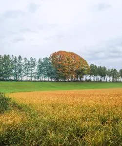 Una bonita panorámica de Cameri