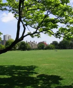 A beautiful view of Swindon