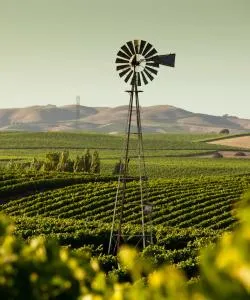 A beautiful view of Santa Rosa serviced by Charles M. Schulz Sonoma County Airport