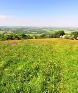A beautiful view of Uckfield