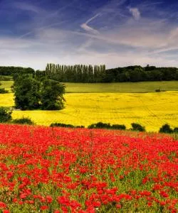Una bonita panorámica de Sittingbourne