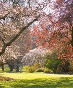 O imagine frumoasă din Christchurch deservit de Aeroportul Internațional Christchurch