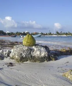 A beautiful view of Akumal.