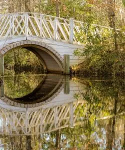 A beautiful view of Moncks Corner