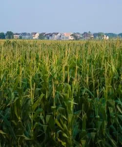 A beautiful view of Plainfield.