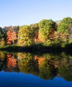 A beautiful view of Lisle