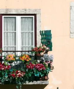 A beautiful view of Amadora