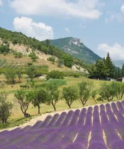 A beautiful view of Chabeuil – a popular city among our users