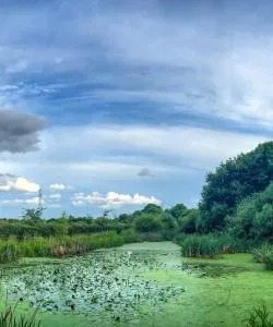 Una bonita panorámica de Bloxwich