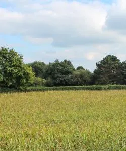 A beautiful view of Stadtlohn.