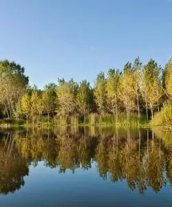 サカリヤの美しい景色