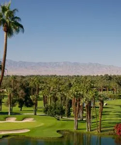A beautiful view of Palm Desert – a popular city among our users