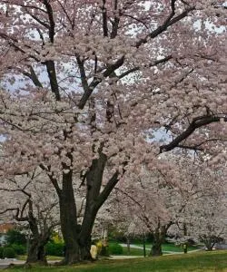 A beautiful view of Greenbelt