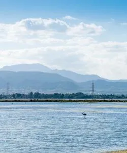 A beautiful view of Elmas
