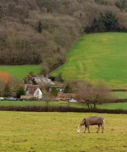 A beautiful view of Haslemere – city popular among our users.