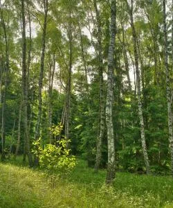 A beautiful view of Weiden