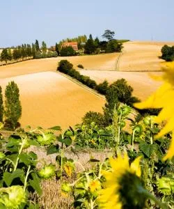 A beautiful view of Le Haillan.