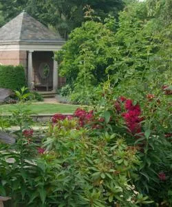 A beautiful view of Creve Coeur.