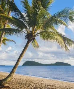 Ein schöner Blick auf Palm Cove – eine bei unseren Nutzern beliebte Stadt
