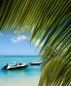 A beautiful view of Trou aux Biches – a popular city among our users