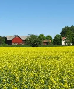 A beautiful view of Vara