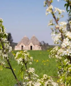 A beautiful view of Mesagne.