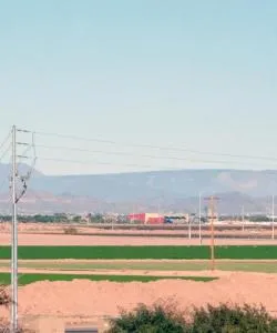 A beautiful view of Litchfield Park.