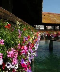 Een mooi uitzicht op Rothenburg