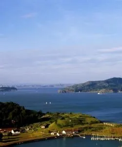 A beautiful view of Mill Valley.