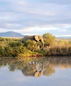 A beautiful view of Ladysmith
