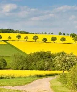 Красивый вид города Хофхайм-ам-Таунус