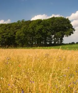 A beautiful view of Klein Reken.